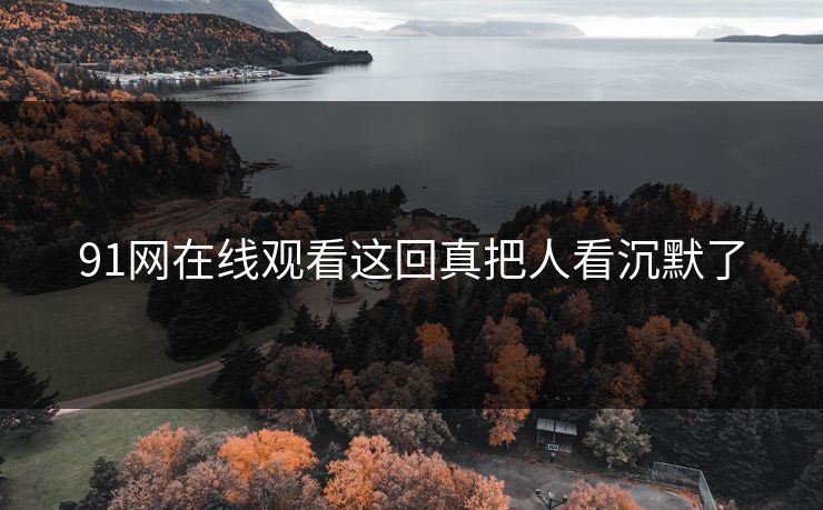 91网在线观看这回真把人看沉默了